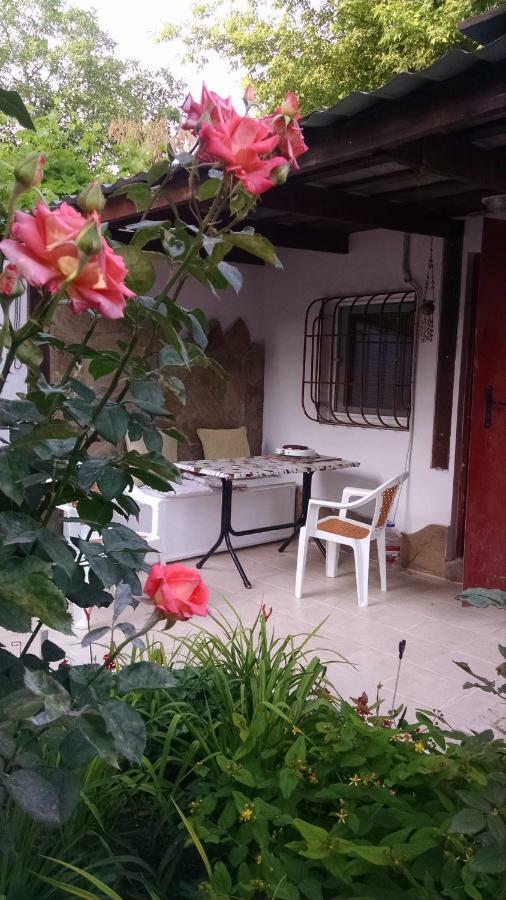 Студия С Двориком В Отраде Odesa Exterior foto